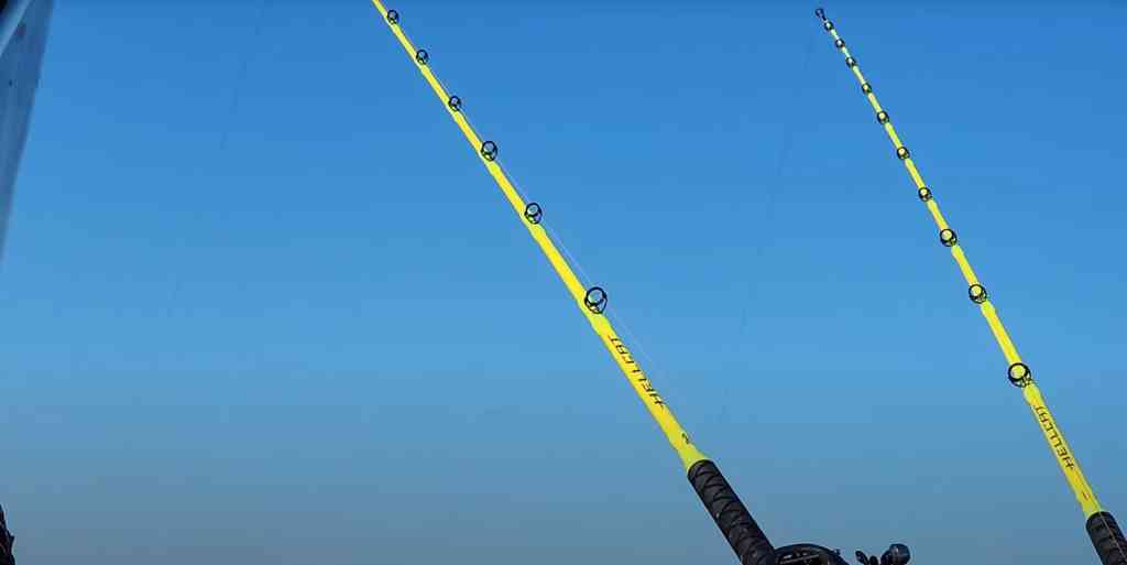 The backbone and flexibility of Hellcat rods from Catch The Fever stand out beneath a pristine winter sky—ready for the next big bite.